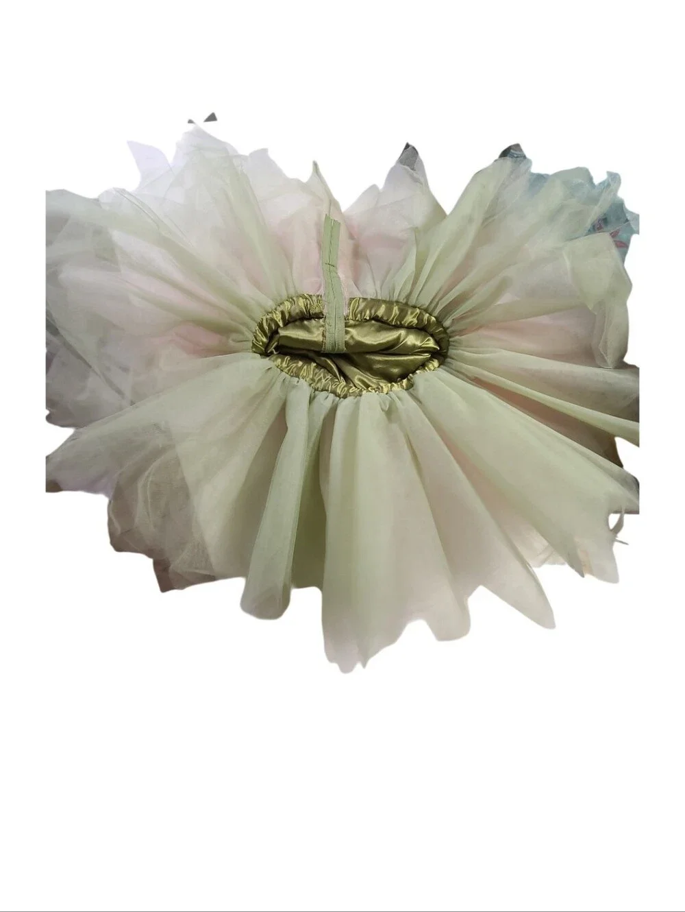 Wishcraft Flower Fairies Cicely Mary Barker Fairy Costume Dress Girls 6
